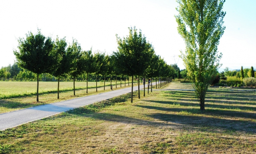 Parco di Arlecchino