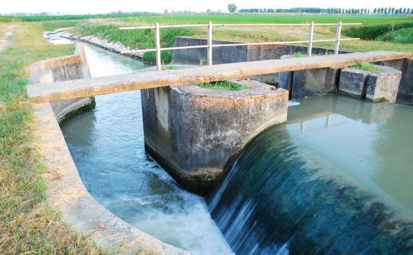 Canale Molinella